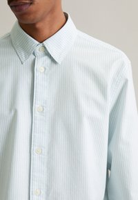 Lichtblauwe gestreepte blouse met een button-down kraag, voorzien van witte knopen en een zachte katoenstructuur. Focus op de verticale strepen.