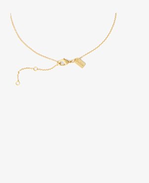 Delicata collana a catena in oro con chiusura a moschettone e piccolo targhetta rettangolare su sfondo bianco.