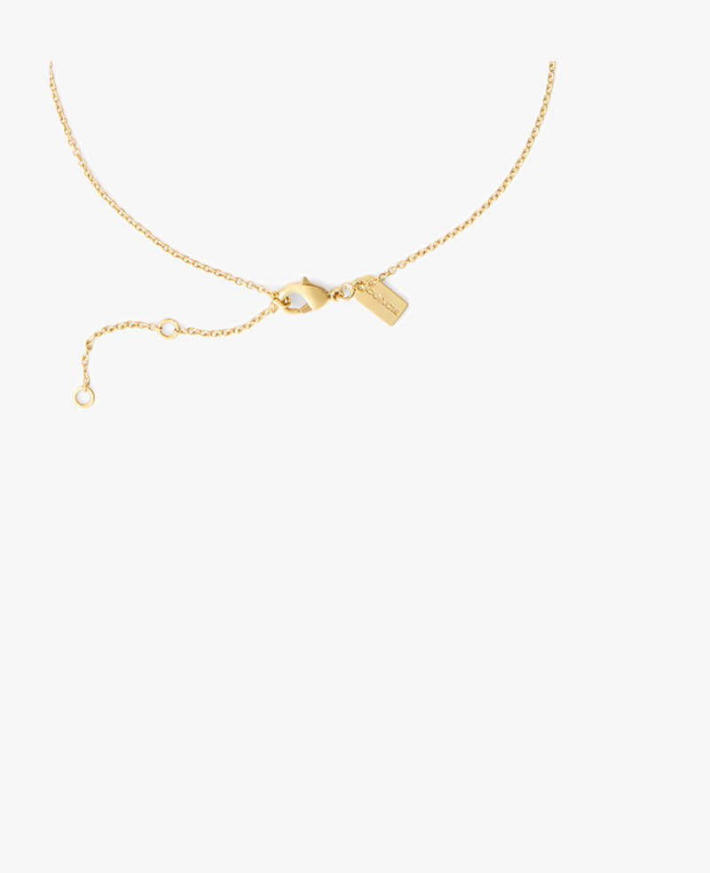 Delicata collana a catena in oro con chiusura a moschettone e piccolo targhetta rettangolare su sfondo bianco.