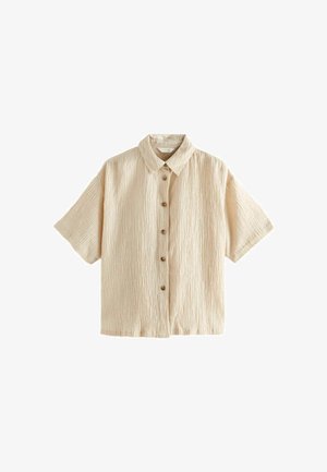 REGULAR FIT - PLUS SIZE - Užsagstoma palaidinė - neutral