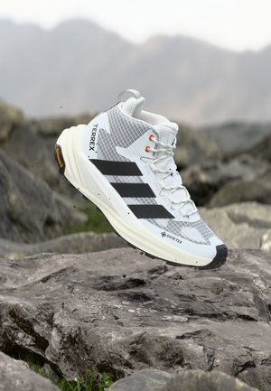 adidas Terrex, Outdoorschoenen - footwear white/core black/off white