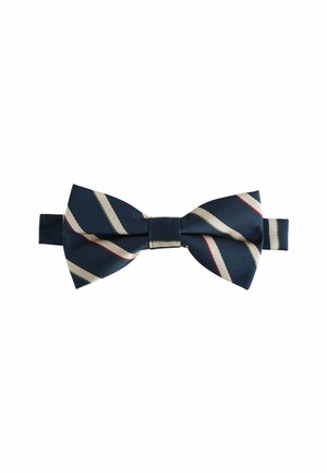 REGULAR FIT - DESIGN  - Peteliškė - navy blue neutral brown stripe