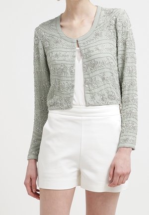 Blazer - light green