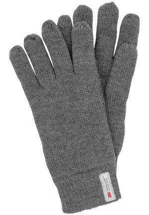 Guanti in maglia grigia con una finitura testurizzata, dotati di un'etichetta che recita "3M THINSULATE", progettati per calore e comfort.