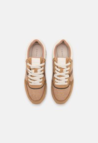 Esprit Trainers - bark