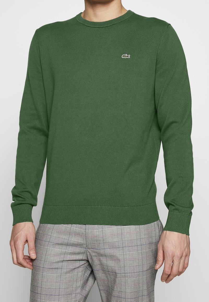 Maglione verde a maglia con scollatura tonda, polsini e orlo a costine, caratterizzato da un piccolo logo sul petto. Indossato con pantaloni a quadri.