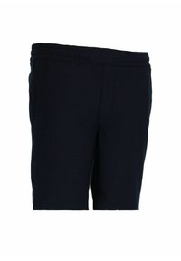CHASIN' STONE.S ANZAR - Šortky - navy