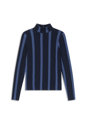 Donkerblauwe langemouw turtleneck met horizontale lichtblauwe strepen. Gladde textuur, aansluitende pasvorm en geribbelde halslijn.