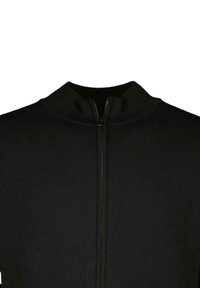 Zwarte zip-up jack met een hoge kraag. Gemaakt van een gladde, rekbare stof met een strakke uitstraling. Heeft een centrale rits en geen zichtbare patronen.