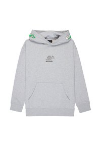 Grauer Hoodie mit Kängurutasche, Kapuze mit Kordelzug und grünen Akzenten. In der Mitte befindet sich ein gedrucktes Logo. Aus Baumwollmischung.