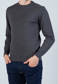 Szary, dziany sweter z okrągłym dekoltem, z długimi rękawami, ściągaczami na mankietach i u dołu. Wykonany z miękkiego materiału, z małym logo umieszczonym na dole.