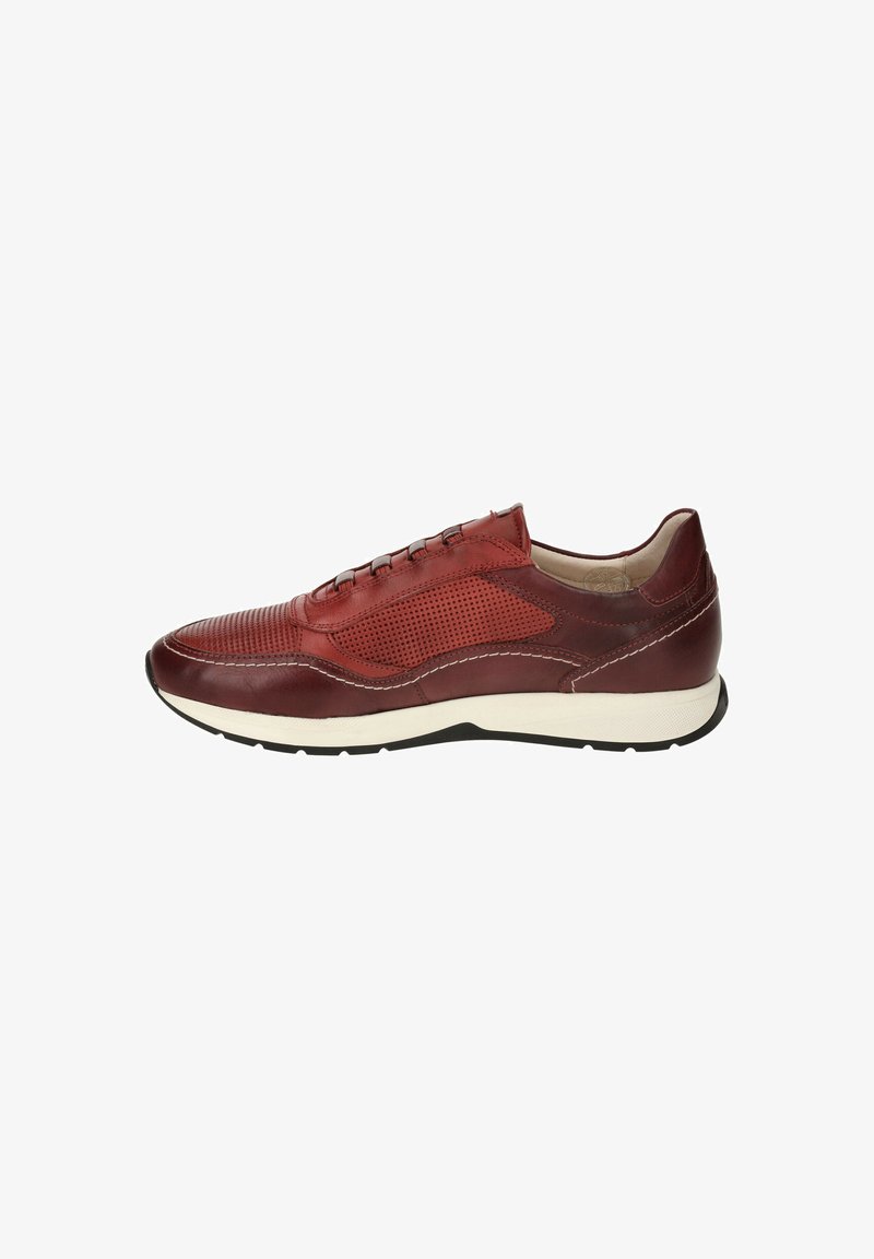 Baskets en cuir brun avec texture perforée, lacets plats et semelle intermédiaire blanche. Comprend des accents cousus et une semelle extérieure noire.