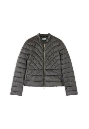 Motivi, GIACCA IMBOTTITA LIGHTWEIGHT CORTA CON COLLO ALTO - Chaqueta de invierno - grigio