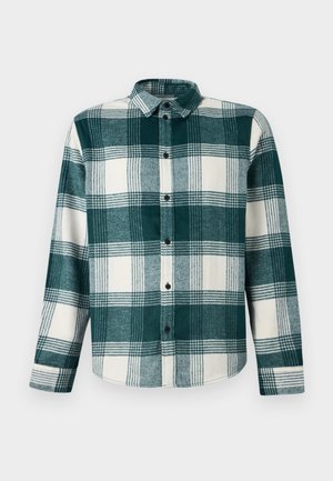 Πράσινο και λευκό πουκάμισο με μακριά μανίκια, κουμπιά, γιακά και μανσέτες, παρουσιάζεται μπροστά σε απλό φόντο.