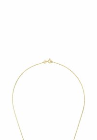 Collar chapado en oro con un diseño de cadena delicado, que cuenta con un cierre de langosta y una textura suave y brillante. Sencillo y elegante.