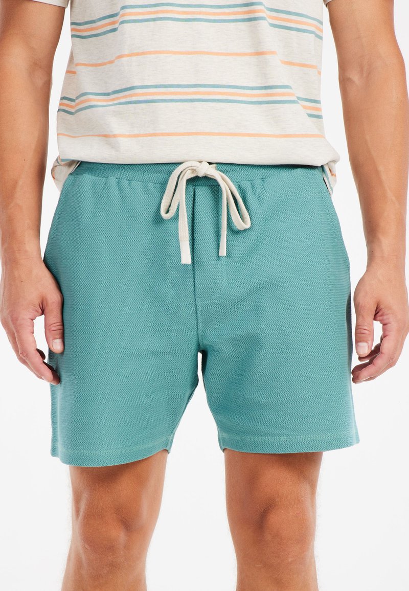 Protest Shorts - arcticgreen