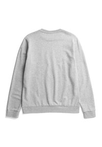 Grauer Sweatshirt mit rundem Halsausschnitt, langen Ärmeln und gerippten Bündchen und Saum. Weiche Textur mit glatter Oberfläche. Kein sichtbares Logo oder Design.