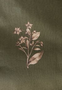 Vihreä kangas, jossa on kasvitieteellinen piirros kukkivasta kasvista beigen sävyissä, sisältäen lehdet ja nuput, tekstuurillisella taustalla.