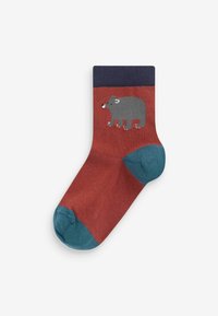 Calzini per bambini rossi con un design di orso grigio. Presentano un bordo e una punta blu. Realizzati in materiale morbido e elasticizzato con una texture liscia.
