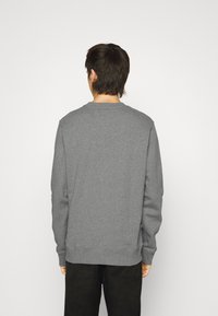 Gray fleece sweatshirt with long sleeves, crew neck, and ribbed hem; smooth texture and simple design.