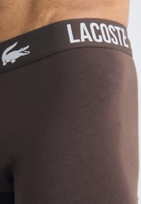 Rjave tkaninske bokserice z širokim elastičnim pasom, na katerem je v beli barvi napis "LACOSTE" in majhen krokodilov logotip v beli barvi.