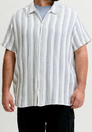 Man draagt een wit overhemd met korte mouwen met verticale zwarte strepen over een grijs T-shirt en zwarte broek tegen een effen achtergrond.