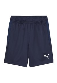 Marineblauwe sportshorts met een elastische tailleband, zijzakken en een getextureerde stof. Witte Puma-logo op het linkerbeen.