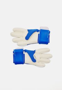 Torwarthandschuhe mit einer weißen Latex-Handfläche, einem blauen synthetischen Körper, verstellbarem Riemen und strukturierten Bereichen für Grip und Halt.