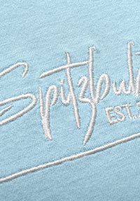 Weiß bestickter Kursive Text auf hellblauem Stoff, mit dem Wort "Spiritbound" und teilweise dem Text "EST."
