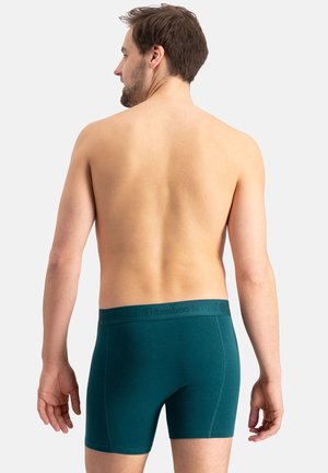 Mannelijk model gezien van achteren, draagt tealgekleurde boxershorts met een tailleband met de tekst "Bamboo Basics" tegen een effen lichte achtergrond.