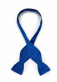 Sininen paisley-kuvioinen solmio, joka on valmistettu sileästä kankaasta. Solmiolla on klassinen muoto, jossa on terävät päät, ja se on varustettu mustalla säädettävällä kaulaketjulla.