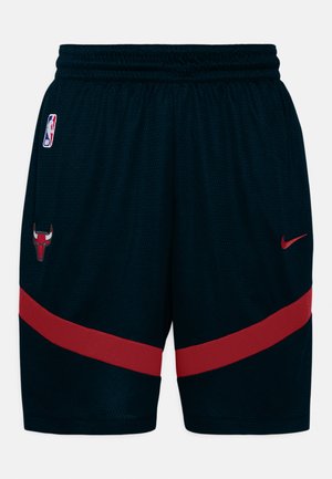 Nike Performance NBA CHICAGO BULLS ICON+ - Klub merchandise - black/university red