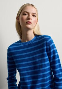Maglione blu con strisce orizzontali di un blu più chiaro, colletto a coste, maniche lunghe e texture morbida. Design semplice, senza motivi o accenti visibili.