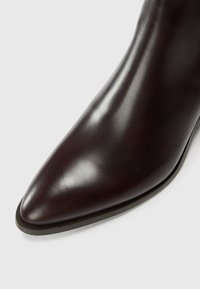 Gros plan sur l'extrémité d'une botte en cuir brun foncé, pointue, avec une surface lisse et polie, sur un fond blanc.