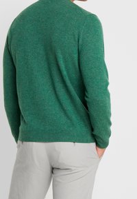Grüner Pullover aus weichem Strickstoff, mit Rundhalsausschnitt und gerippten Bündchen. Getragen mit hellgrauen Hosen, die Rückansicht wird gezeigt.