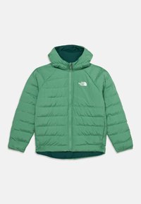 Unausgewählt, light green