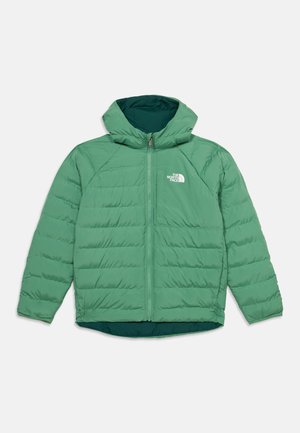 Grüne isolierte Kapuzenjacke mit Frontreißverschluss und The North Face-Logo auf der linken Brust vor weißem Hintergrund.