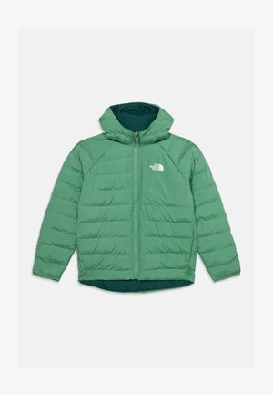 Zielona izolowana kurtka z kapturem, zamkiem z przodu i logo The North Face na lewej piersi na białym tle.