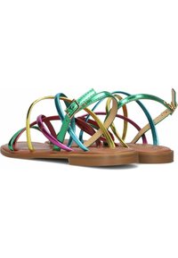 Multikleurige metalen sandalen met een slank ontwerp, voorzien van groene, gouden, roze en blauwe banden op een bruine vlakke zool. Sluiting met een gesp.