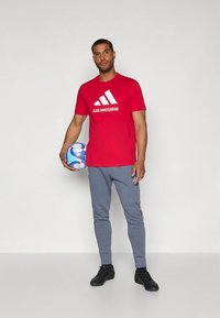 adidas Performance AJAX SEASONAL GRAPHIC TEE - Klubbkläder - bold red