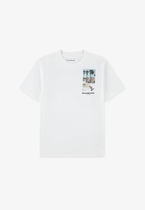 Abercrombie & Fitch SKATE PARK TEE - Majica kratkih rukava s printom - bright white