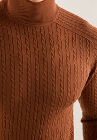 Pull marron en maille torsadée avec un col montant côtelé, présentant des motifs tressés verticaux détaillés sur la poitrine et la manche.