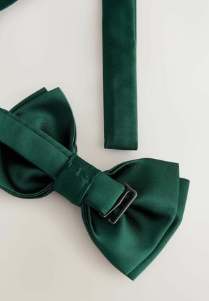 Next TEXTURED - REGULAR FIT - Vlinderdas - green