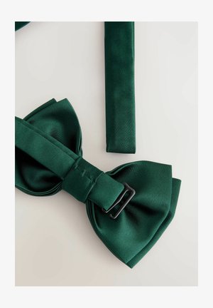 Next TEXTURED - REGULAR FIT - Vlinderdas - green