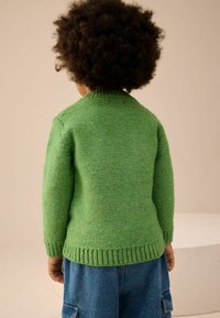 Zelený pletený sveter s rebrovanými manžetami a lemom, s okrúhlym výstrihom. Kombinovaný s modrými denimovými šortkami.