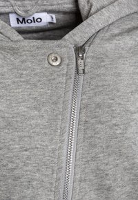 Felpa con cappuccio grigia in tessuto morbido, dotata di chiusura frontale a zip, accessori in argento e un'etichetta sul collo.