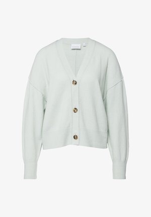Cardigan verde menta chiaro con scollo a V, maniche lunghe e tre grandi bottoni rotondi in motivo tartaruga sul davanti.