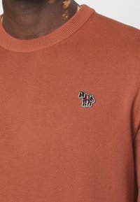 Gros plan sur un pull couleur rouille avec un petit patch zèbre rayé multicolore sur la poitrine, porté par une personne à la peau foncée.