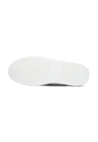 Clay Slipper - bruin