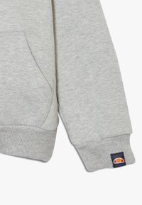 Lichtgrijze sweatshirt met een kangoeroezak, geribde manchetten en zoom. Bevat een logo-label op de manchette met rode, witte en blauwe accenten.